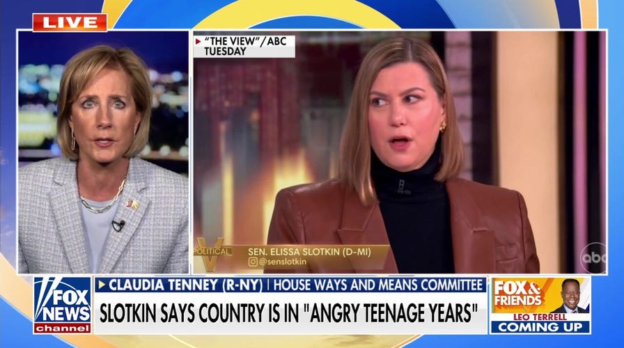 Senate Democrat slammed for insulting Trump voters' intelligence: 'Colossal arrogance'