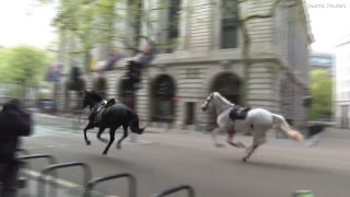 Military horses run loose in London - Fox News