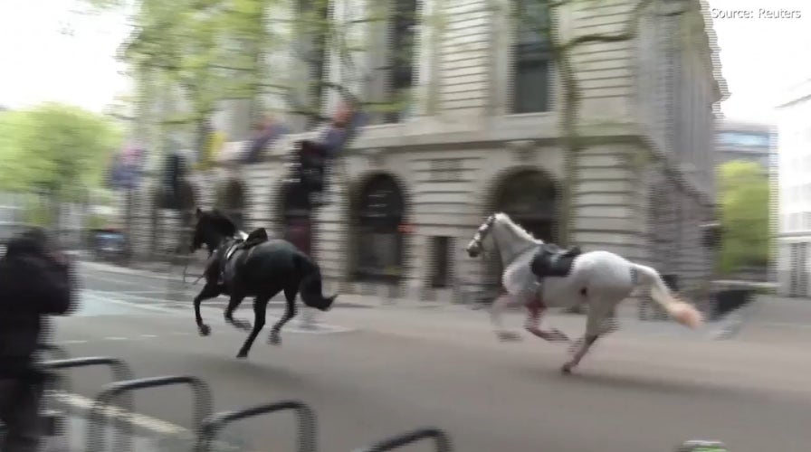 Military horses run loose in London