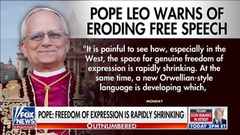 Pope Leo XIV warns freedom of expression around the world is ‘rapidly shrinking’