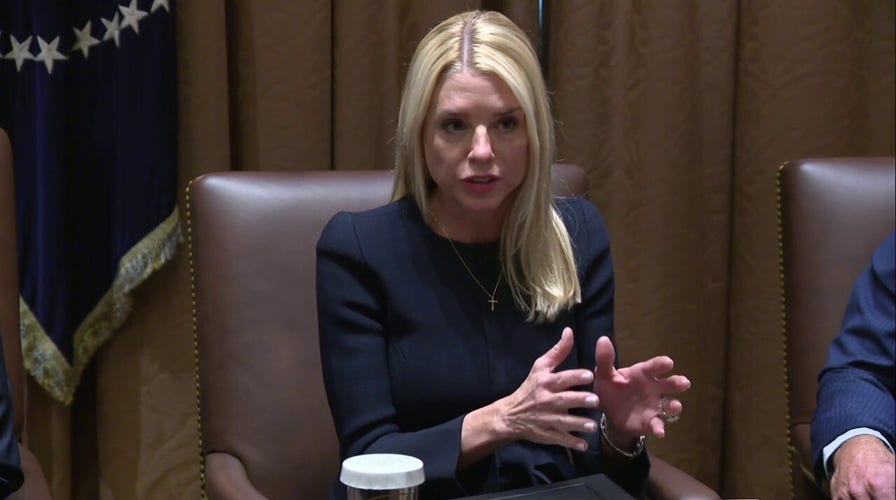 Pam Bondi promises to prosecute those guilty of fraud amid DOGE investigation