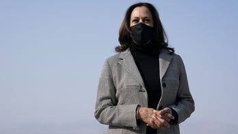 VP Kamala Harris sets virtual meeting with Guatemala president next week regarding migrant crisis