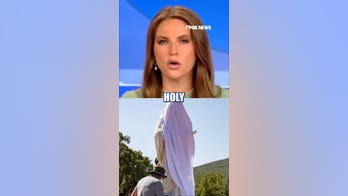 Virgin Mary vandalism SHOCKS faithful