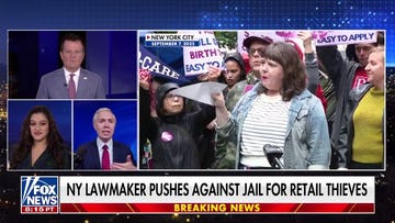 NY lawmaker pushes against jail for retail thieves