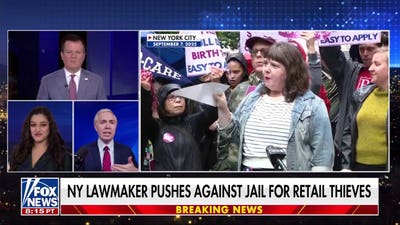 NY lawmaker pushes against jail for retail thieves