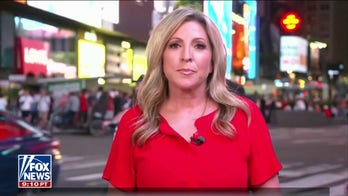 Times Square designated as a gun-free zone as part of NY’s gun reform efforts