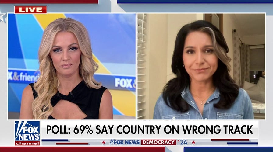 Tulsi Gabbard blasts Democrat elites' alleged abuse of power: 'Dangerous for our country'
