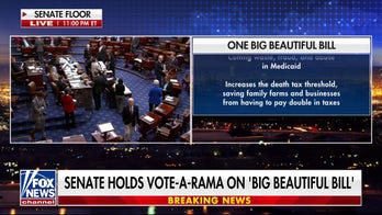 US Senate expected to burn the midnight oil as 'vote-a-rama' continues