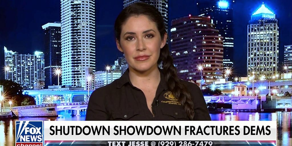 The small percentage of radical leftists don't represent the majority of Americans, GOP lawmaker says