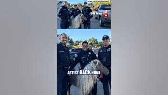 Cops 'horsin around' with runaway pony