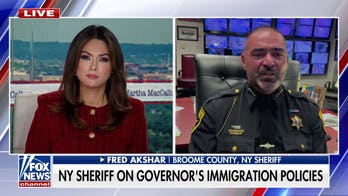 Sheriff calls Democrat’s questioning at House hearing a ‘disgusting display’
