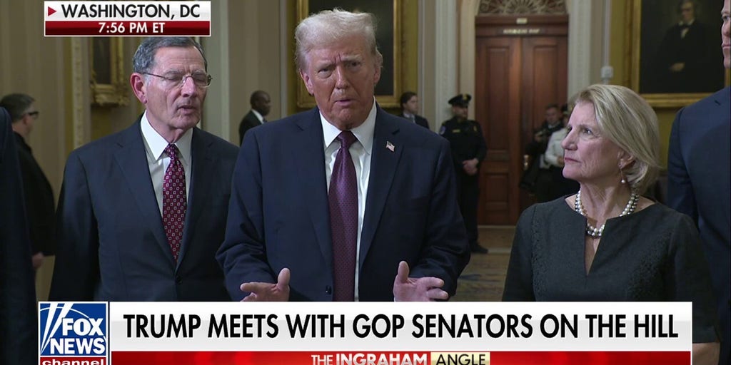 'True tragedy': Trump calls out 'mistakes' of Newsom and the Biden admin in CA wildfire catastrophe