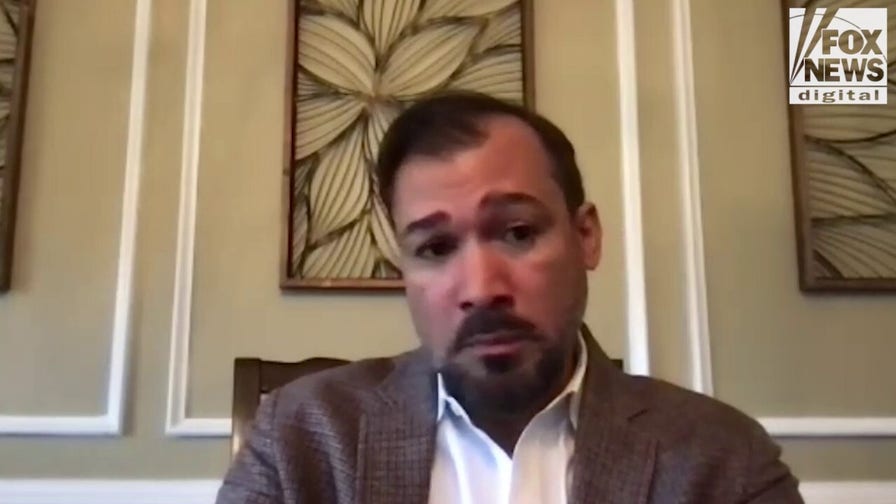 Ex-DHS official warns stolen chemical drones 'not difficult' to weaponize over US cities