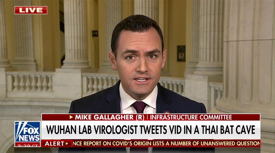 Rep. Mike Gallagher on possible 'Twitter files' drop on COVID: 'Fauci thinks it's all about him'
