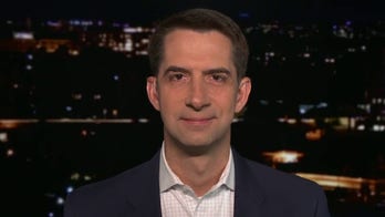 Tom Cotton: 'Politicians in both parties for many decades put China's interest ahead of so many Americans interests'
