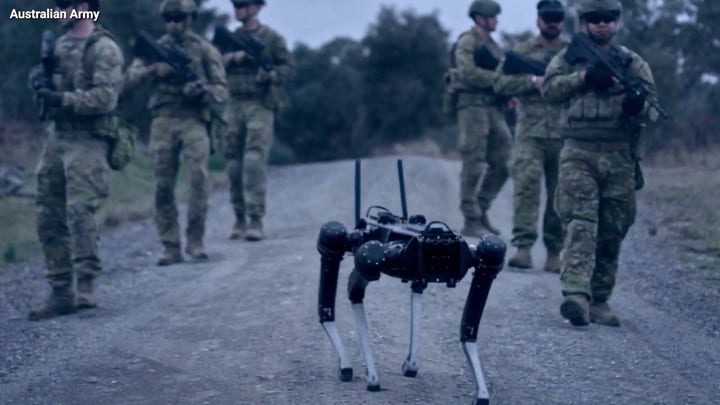 Kurt 'The CyberGuy' Knutsson explains robodogs