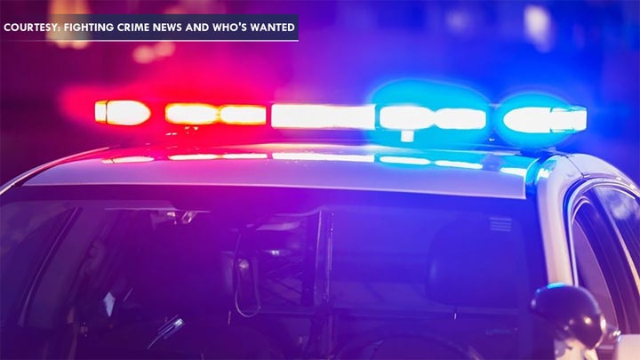 Police dispatcher alerts to potential Brian Laundrie sighting