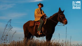 Tom Green left Hollywood for greener pastures
