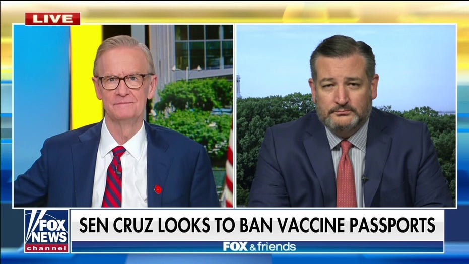 Cruz on bill to ban vaccine passports: Health choices are for individuals, not the government or your boss