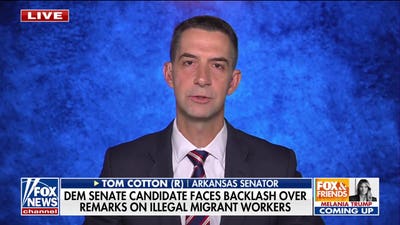 Tom Cotton warns of China stealing US AI tech ahead of Xi summit