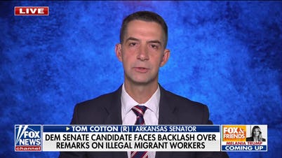 Tom Cotton warns of China stealing US AI tech ahead of Xi summit