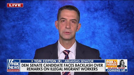 Tom Cotton warns of China stealing US AI tech ahead of Xi summit