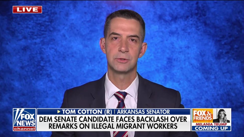 Tom Cotton warns of China stealing US AI tech ahead of Xi summit