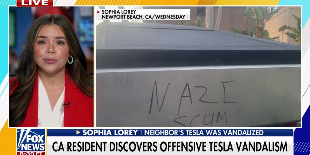 California resident recounts the moment she saw her neighbor’s Tesla vandalized