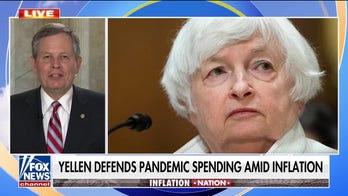 Sen. Daines rips Janet Yellen, Democrats on inflation claims: They 'lit the fire' with pandemic spending