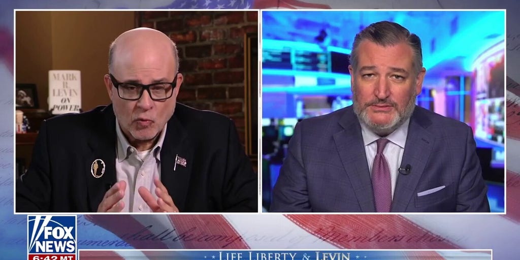 Sen Ted Cruz: Trump has 'guts' in a way we've not seen among many Republicans