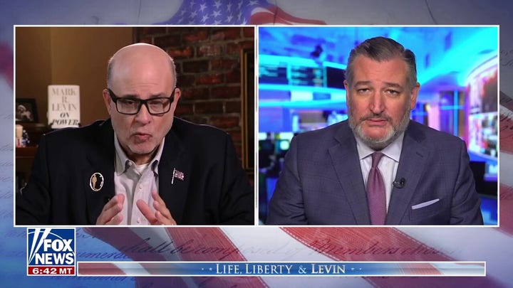 Sen Ted Cruz: Trump has 'guts' in a way we've not seen among many Republicans