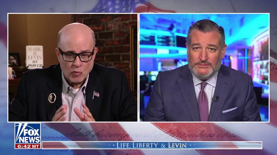 Sen Ted Cruz: Trump has 'guts' in a way we've not seen among many Republicans