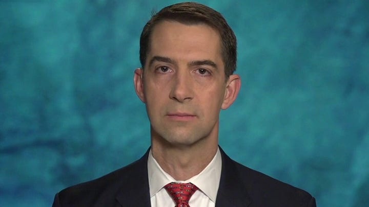 Sen. Cotton slams Swalwell for 'hiding behind' cloak of classified info on Chinese spy relationship