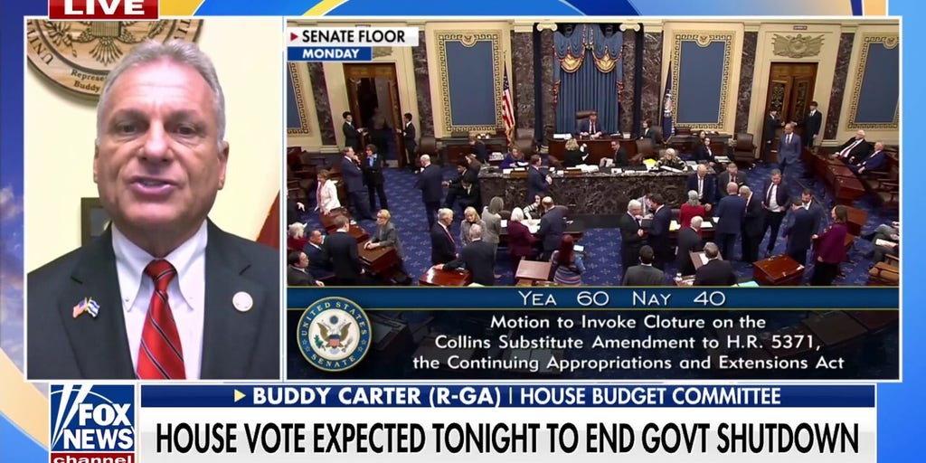 Rep. Carter: Senate Democrats are 'despicable' for trying to to 'blackmail' Americans