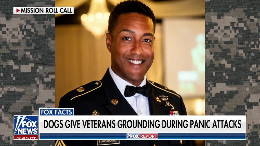Army veteran details transition struggles and the power of service dogs