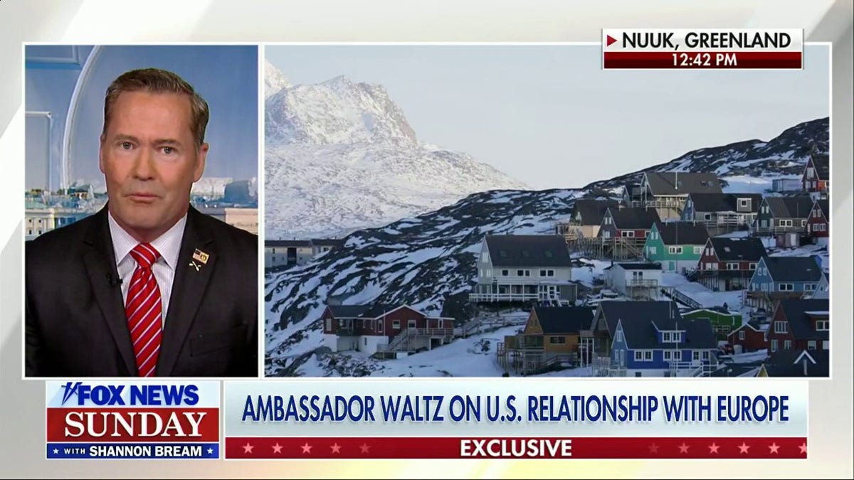 Trump embraces viral penguin meme as symbol of rebellion against secular  modernity, Western decline | Fox News