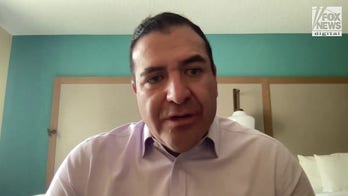 Tesla owner sues alleged vandal after Model X slashed in airport parking lot