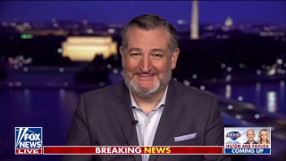 Zohran Mamdani is not a socialist, he is a communist, Ted Cruz says