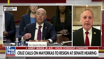 Mayorkas confronted by Ted Cruz, GOP senators in explosive hearing