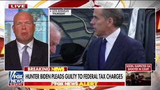Matt Whitaker: 'There's no way' Hunter Biden faces jail time  - Fox News