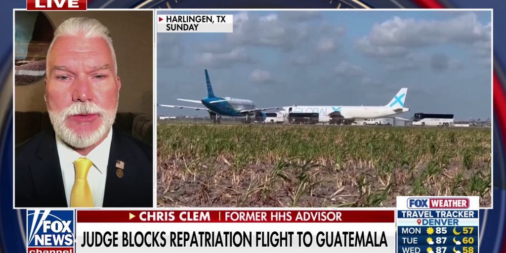 Former HHS advisor blames ‘activist judges’ for blocking of repatriation flight to Guatemala