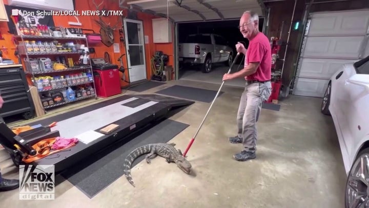 Louisiana trapper removes 5-foot alligator that sneaked into couple's home