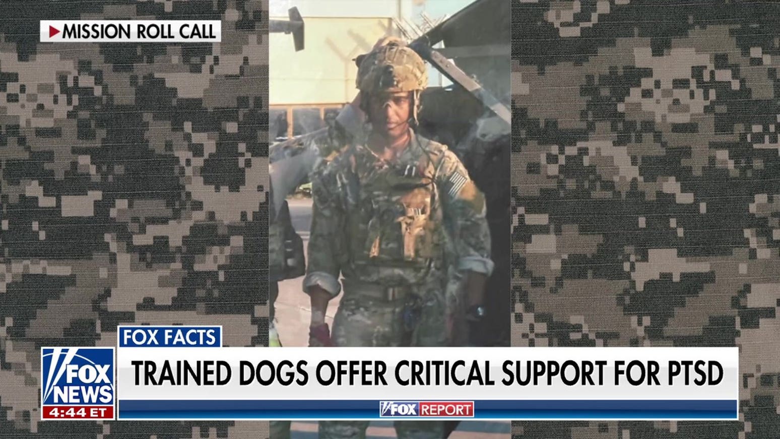 Retired US Army sergeant major details how service dogs help veterans heal