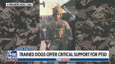 Retired US Army sergeant major details how service dogs help veterans heal
