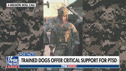 Retired US Army sergeant major details how service dogs help veterans heal