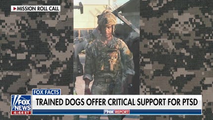 Retired US Army sergeant major details how service dogs help veterans heal