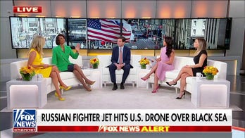 US denounces Russia after fighter jet downs American drown: 'Reckless'