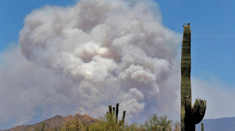 Pandemic causes new challenge for firefighters bracing for wildfire season	