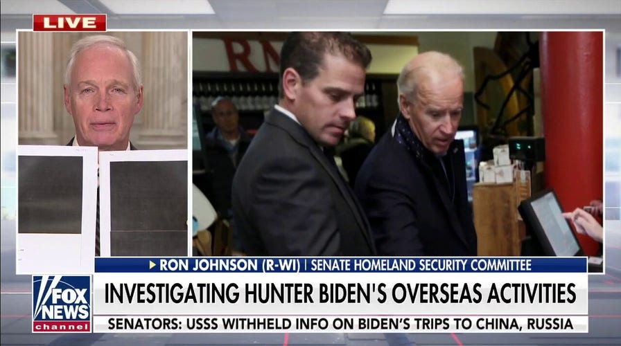 Republicans demand answers from Secret Service on Hunter Biden's overseas activities: 'They're hiding something'