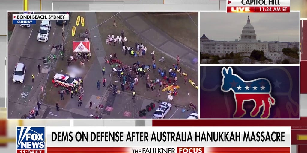 Anti-Israel Democrats face renewed scrutiny over rhetoric after Australia terror attack